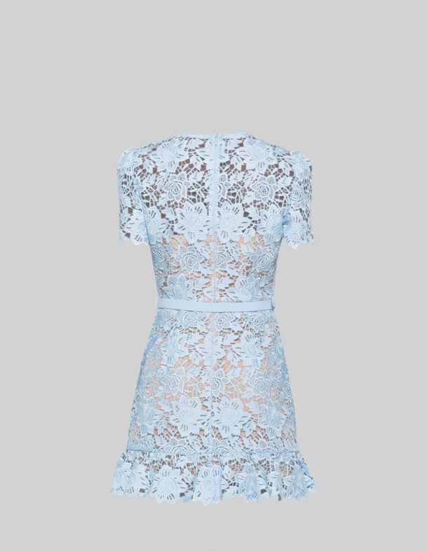 Lace Embroidery Dress with Diamond Buttons